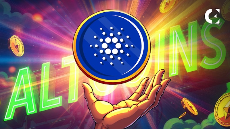 2025年web3投融资回暖迹象明显，一级市场活跃度上升 - php中文网